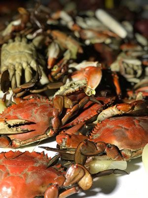 Boiled blue crabs from Louisiana
