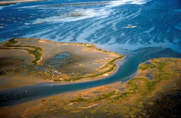 Galveston Bay