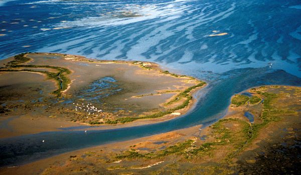 Galveston Bay