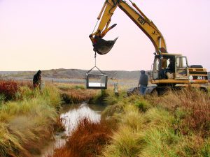 Estuary, Estuaries, Bay, Sound, Wetland Funding