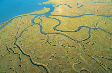 Overhead photo of costal area showing twisting maze of tributary rivers