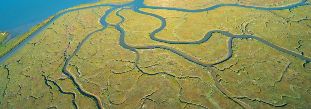 Overhead photo of costal area showing twisting maze of tributary rivers
