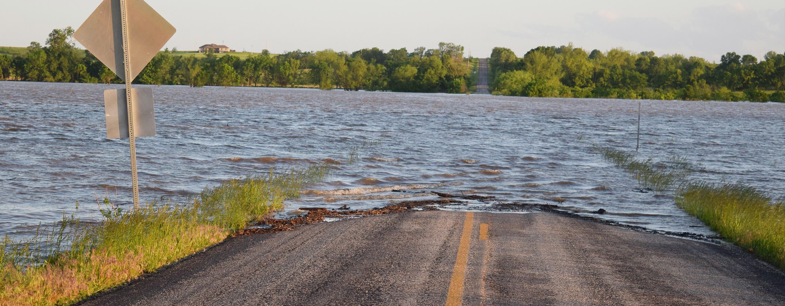Flooded road and trees