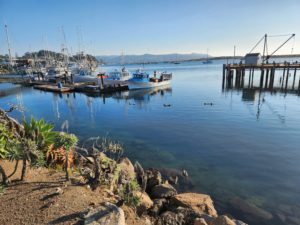 Morro Bay NEP