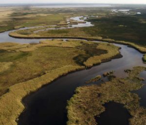 Salt Bayou, TX