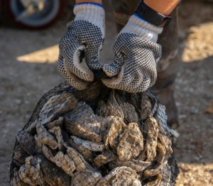 a bag of oysters