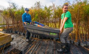 volunteers help at tree planting