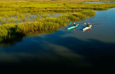 kayakers in an estuary celebrating world seagrass day