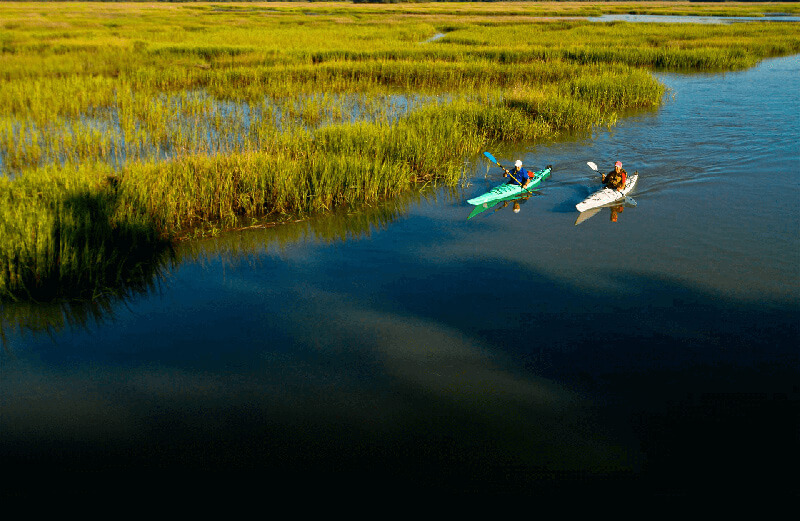 kayakers in an estuary celebrating world seagrass day